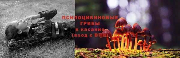 а пвп мука Беломорск