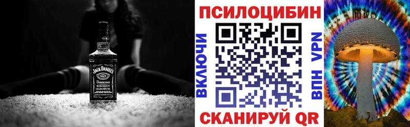 OMG маркетплейс  наркошоп  Городовиковск  Галлюциногенные грибы Psilocybe 