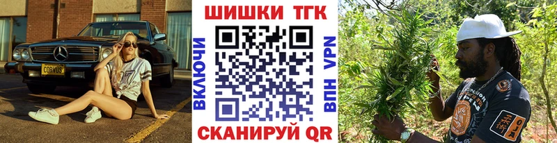 Конопля ГИДРОПОН  продажа наркотиков  Городовиковск 